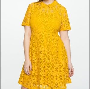 pretty lace eloquii dress